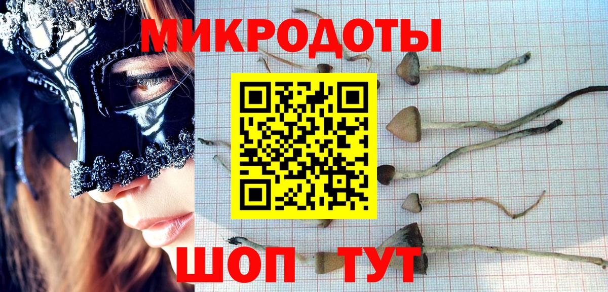 Галлюциногенные грибы Cubensis  Псилоцибиновые грибы ЛСД  Крымск  Вход с VPN 