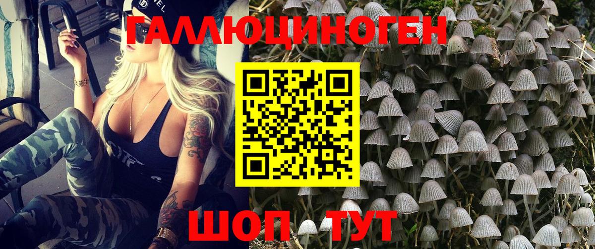 Псилоцибиновые грибы ЛСД Крымск